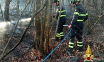 Rilevante incendio boschivo tra Rovasenda e Roasio