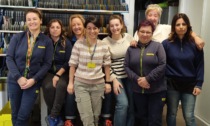 Poste in rosa: in provincia di Vercelli il 64% dei lavoratori è donna