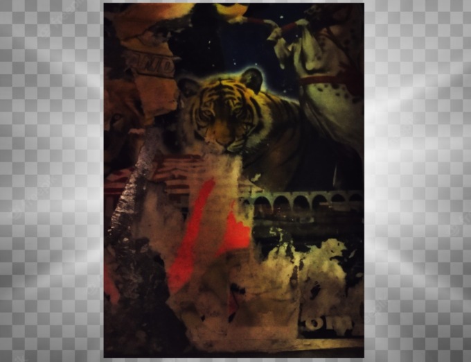 Animali fantastici: mostra fotografica al Museo Leone