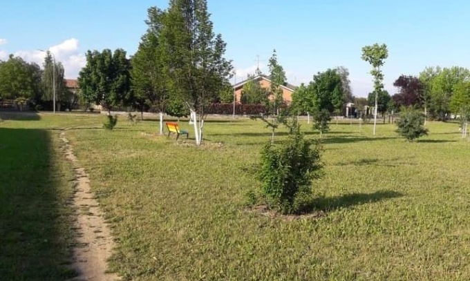 “Non lasciare cibo per gatti nel Bosco in Città”