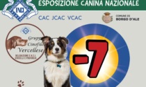 Esposizione Canina nazionale a Borgo d'Ale, attesi 600 cani di razza