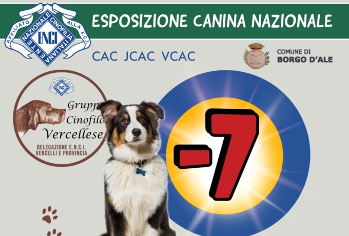 Esposizione Canina nazionale a Borgo d’Ale, attesi 600 cani di razza
