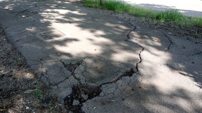 Un viale disastrato dalle radici, pericoloso per ciclisti e pedoni
