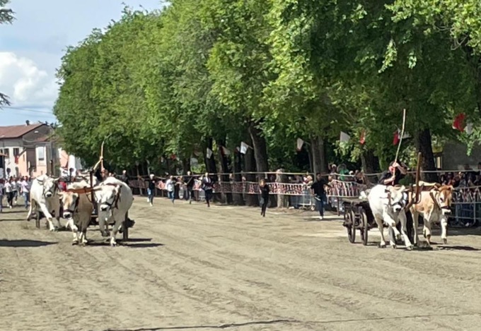 Il team Manna vince la 587ª Corsa dei Buoi di Asigliano