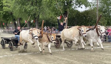 Asigliano, Festa di San Vittore: tutto è già pronto