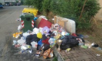 Allarme ecologico in via Udine: "Fermate questi pazzi"