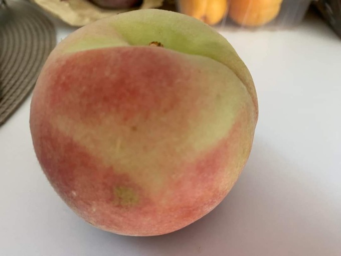 La “Bella” di Borgo d’Ale è Presidio Slow Food