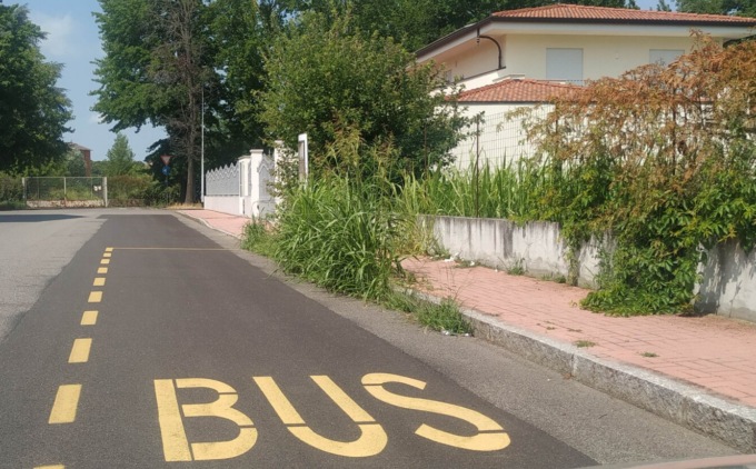Fermata del bus in via Natal Palli o in Amazzonia?
