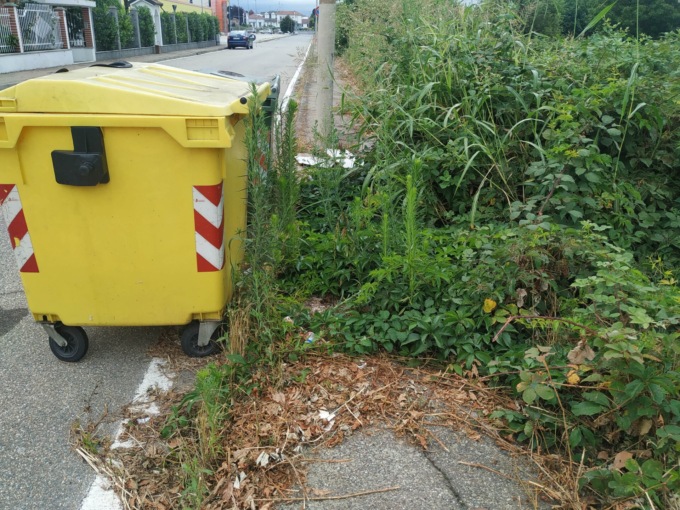 Erba tagliata sì, ma non dietro i cassonetti