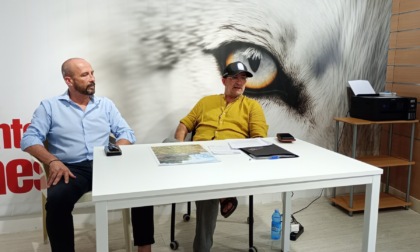 Vercelli - Carlo Olmo sull'emergenza erbacce: "Se sarò sindaco un piano serio di diserbo"