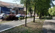 TEMPESTA: gli alberi abbattuti in viale Garibaldi in città