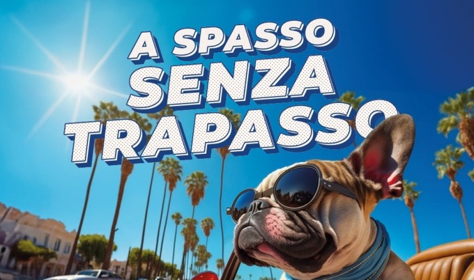 L’usato di Autotorino per un agosto “a spasso senza trapasso”