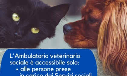 Ambulatorio veterinario sociale di Vercelli: si accede solo su appuntamento