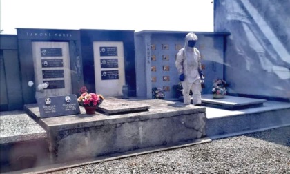 Cimitero di Borgo d'Ale disinfestato dai calabroni - FOTOGALLERY