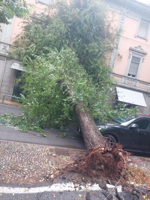 Prorogata fino al 1 settembre la chiusura di parchi e giardini a Vercelli