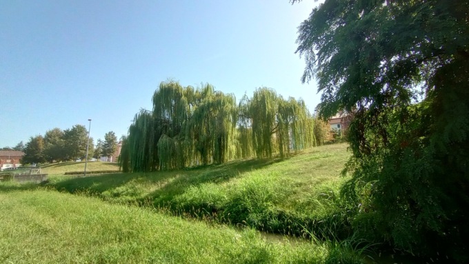 Vercelli insolita: la collina del salice