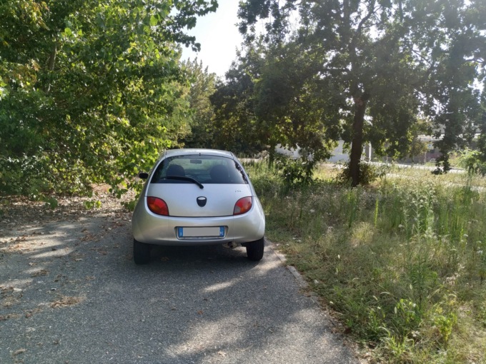 Il parcheggio dimenticato di via Trento è diventato un prato fiorito