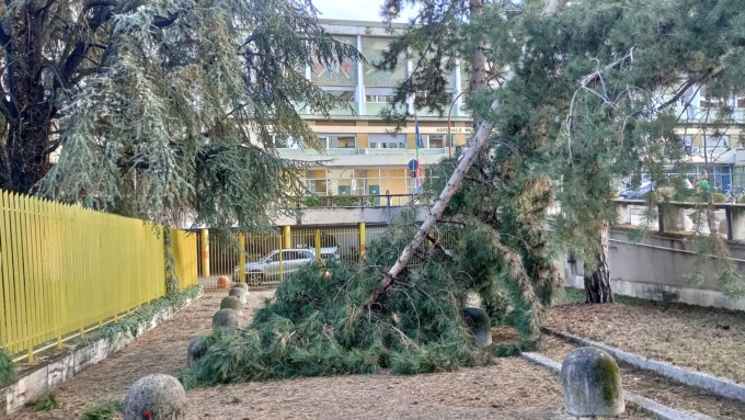 Maltempo a Vercelli: strage di alberi e tetto crollato