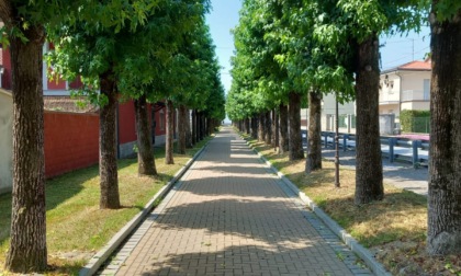Borgo d'Ale diventa "green" con la strada pedonale di viale Consolata
