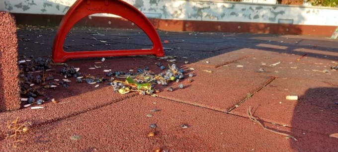 Vandali deturpano il parco giochi di Borgo d’Ale