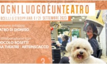 Cosa fare a Vercelli: eventi del fine settimana dall'8 al 10 settembre