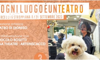Cosa fare a Vercelli: eventi del fine settimana dall'8 al 10 settembre