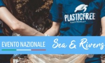 Plastic Free: evento di pulizia a lato tangenziale ovest di Vercelli