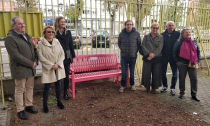 Una panchina rosa Lilt davanti al CUP di Vercelli