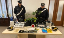 Coltivava marijuana in casa: arrestato dai Carabinieri