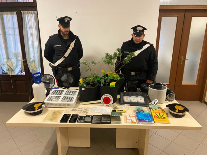 Coltivava marijuana in casa: arrestato dai Carabinieri