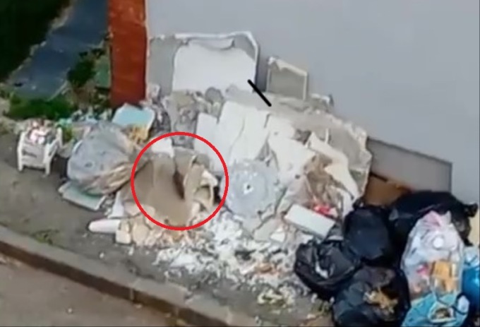 Villaggio Concordia: in via Monfalcone pantegane a spasso tra i rifiuti – VIDEO