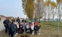 Piantata una quercia dai bambini delle scuole di Carisio