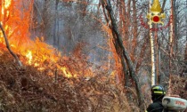 Incendio boschivo: diverse squadre in azione per spegnerlo