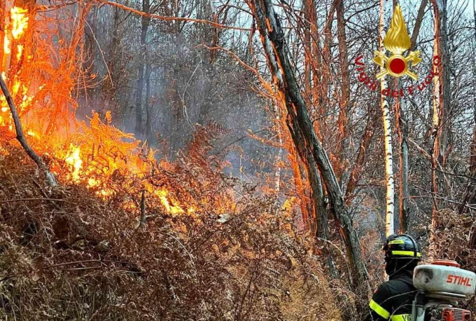 Incendio boschivo: diverse squadre in azione per spegnerlo
