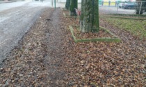 Troppe foglie in via Restano: marciapiede è impraticabile
