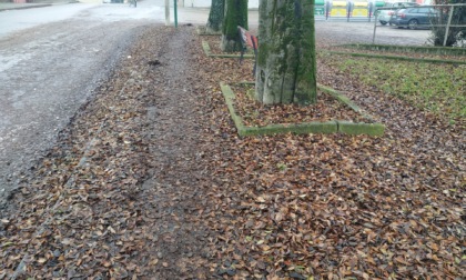 Troppe foglie in via Restano: marciapiede è impraticabile