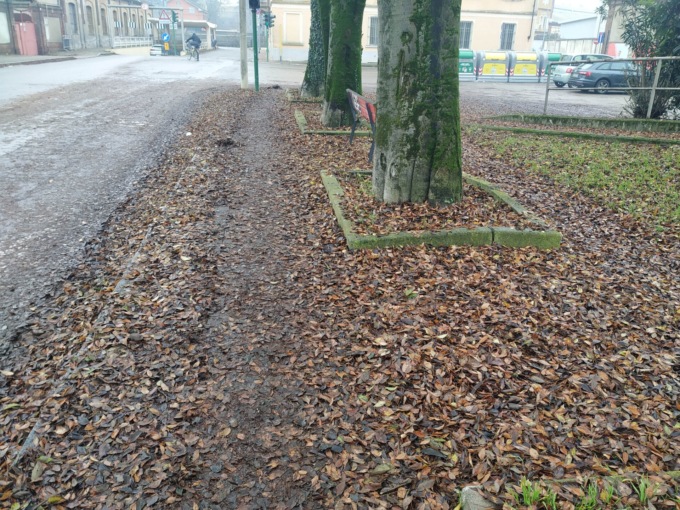 Troppe foglie in via Restano: marciapiede è impraticabile