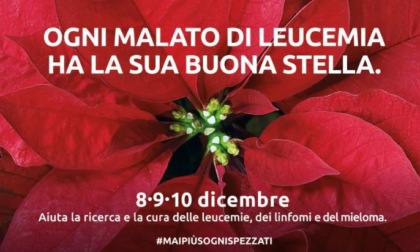 Stelle di Natale dell'Ail: i banchetti nel Vercellese