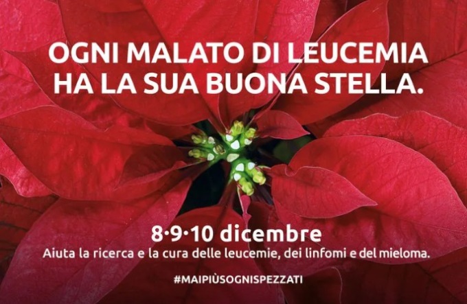 Stelle di Natale dell’Ail: i banchetti nel Vercellese