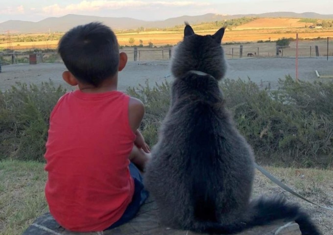 Fai un selfie con il tuo pelosetto per dire basta a ogni forma di crudeltà sugli animali