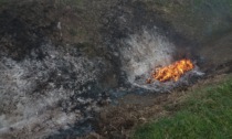 Bruciava rifiuti fra le risaie ad Albano: denunciato