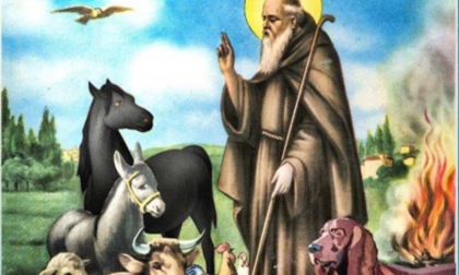 Sant'Antonio Abate, torna la benedizione degli animali