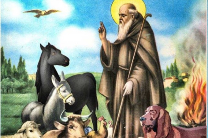 Sant’Antonio Abate, torna la benedizione degli animali