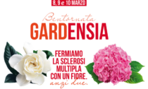 Gardensia Aism: volontari vercellesi pronti in diversi paesi