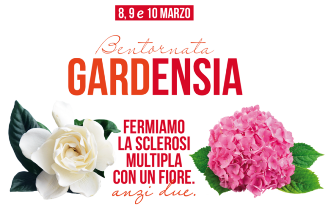 Gardensia Aism: volontari vercellesi pronti in diversi paesi