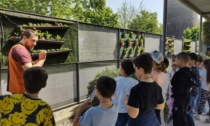 Visita d'istruzione "ambientale" per la scuola Pellico di Santhià