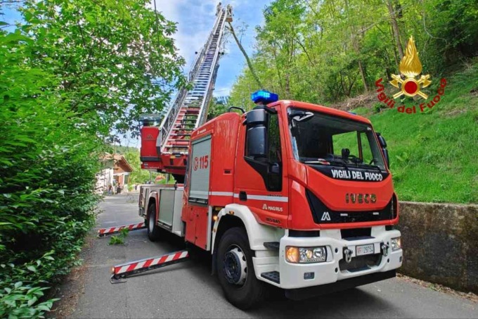 Albero pericolante in via Caggi a Borgosesia