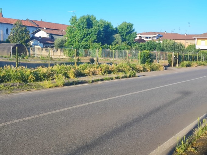 Giungla in città: guardate le condizioni di via Donato!