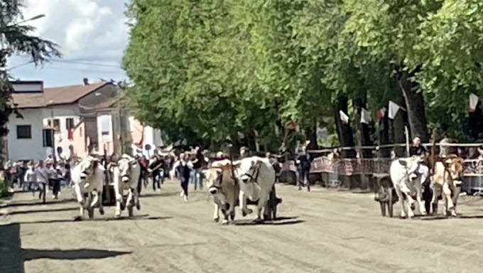 Cosa fare a Vercelli: eventi dal 10 al 12 maggio 2024