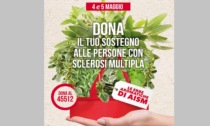 Erbe aromatiche per sostenere l'AISM